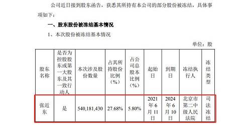 苏宁易购停牌 第3张